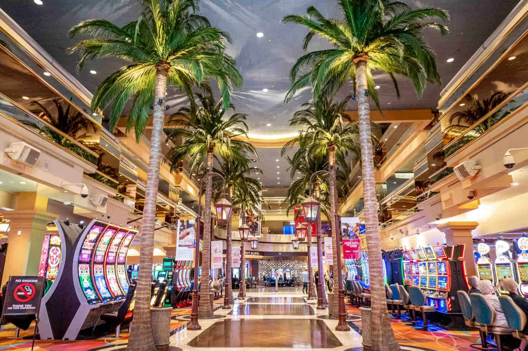Venombet VIP Üyelik Çekilişi